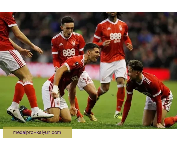 英超谢联普林斯状态回暖，近期表现值得关注