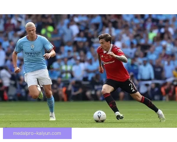 奥德加德传球区域分析：本赛季中场组织表现稳健